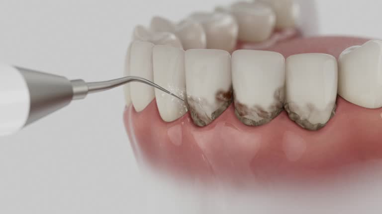 Reliable Dental contractor in Amelia, LA by Dentist Open Now
